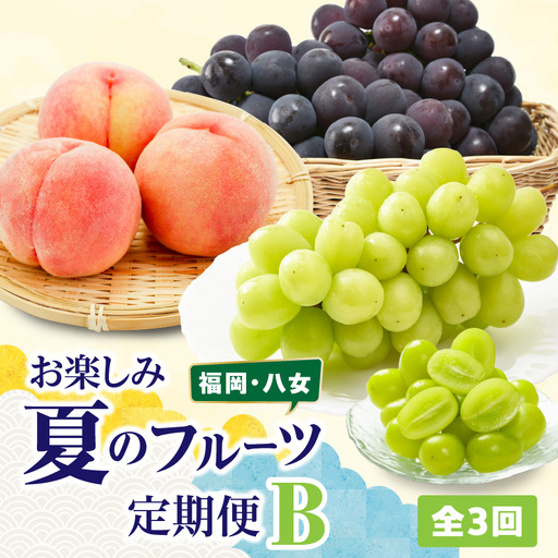 福岡八女 お楽しみ夏のフルーツ定期便Ｄ ＜配送不可：北海道・沖縄・離島＞ フルーツ 定期便 梨 もも ぶどう 季節のフルーツ 果物 おすすめ セット 産地直送 福岡県 八女市 072-T029