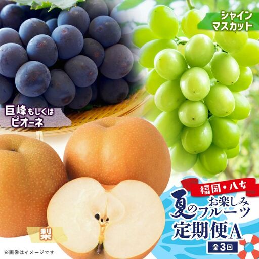 福岡八女 お楽しみ夏のフルーツ定期便Ａ ＜配送不可：北海道・沖縄・離島＞ フルーツ 定期便 ぶどう 梨 シャインマスカット 季節のフルーツ 果物 おすすめ セット 産地直送 福岡県 八女市 072-T026