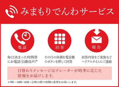 みまもりでんわサービス【固定電話】 （3か月） CZ04