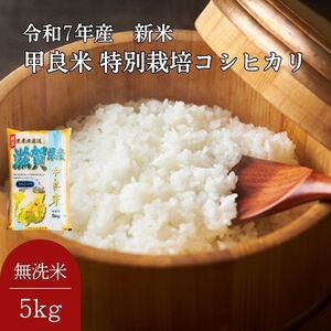 コシヒカリ 無洗米 5kg 令和7年産 特別栽培 コシヒカリ
