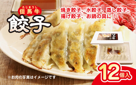 【7営業日以内に発送】 但馬牛餃子（12個入り）焼き餃子！水餃子！蒸し餃子！揚げ餃子！お鍋の具に！ 兵庫県 朝来市 AS1AB10 餃子 ぎょうざ ギョーザ ギョウザ 惣菜 おかず 牛肉餃子 牛餃子 酒のつまみ