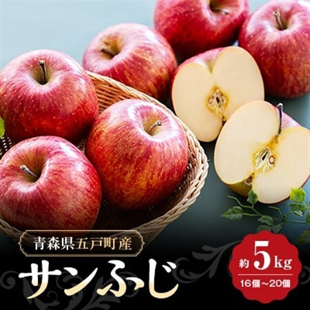 【青森県五戸産】りんご(サンフジ)約5kg(16個～20個入り)【配送不可地域：離島・沖縄県】【1362334】