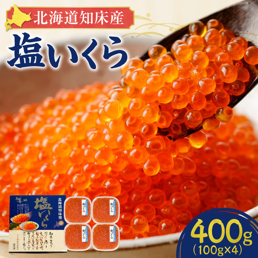 [先行受付][北海道知床産]鮭いくら塩漬け(塩いくら) 400g 小分けいくら