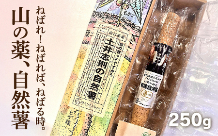 [山薬王]命の根っこですから。最高級無農薬有機JAS自然薯真空保存