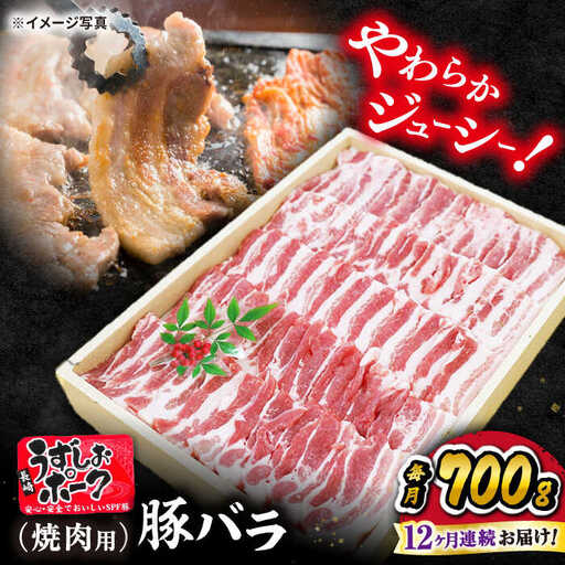 12回定期便 国産豚 バラ焼肉 700g 訳あり CAG022 焼肉