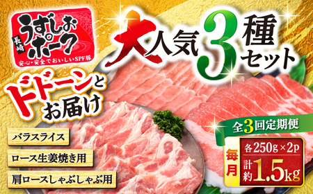 【訳あり】【3回定期便】長崎うずしおポーク 大人気3種 セット 国産豚 ＜スーパーウエスト＞ [CAG219]