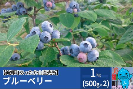 ブルーベリー 1kg (500g×2) 美郷町あったか山直売所