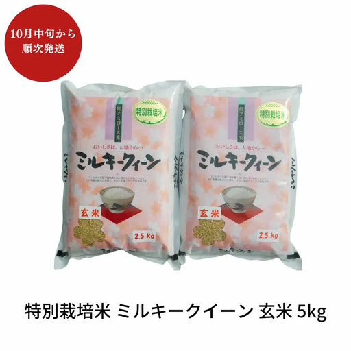 先行予約 特別栽培米 ミルキークイーン 玄米 5kg 新潟県産 令和8年 [佐藤農産有機センター]【010S226】