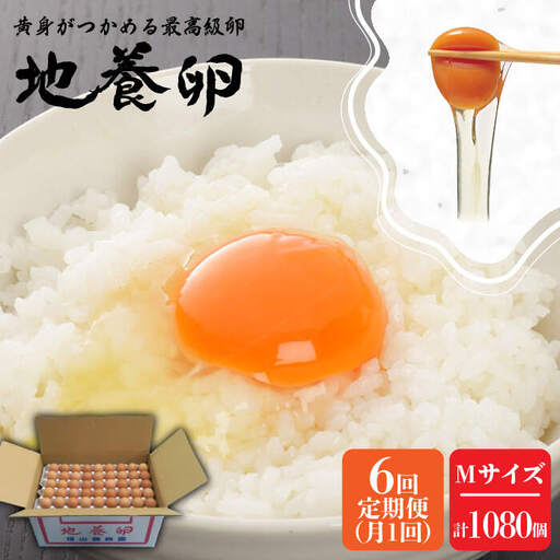 【6回定期便】最高級 卵 地養卵 Mサイズ 180個×6回定期便 長崎県産 西海市 たまご 卵 玉子 タマゴ 鶏卵 オムレツ 卵かけご飯 朝食 料理 人気 卵焼き＜垣山養鶏園＞ [CBB011]