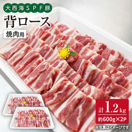 大西海SPF豚 背ロース 焼肉 計1.2kg 訳あり ＜大西海ファーム＞CEK038 焼肉