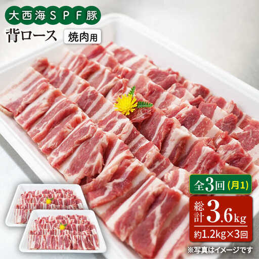 3回定期便 大西海SPF豚 背ロース 焼肉 計1.2kg 訳あり [大西海ファーム] [CEK096] 焼肉