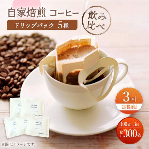 【飲み比べ】【3回定期便】ドリップバック 自家焙煎コーヒー 100袋（5種類×20袋） ＜giko coffee＞ [CFK038]