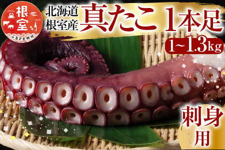 【北海道根室産】真たこ1本足 1～1.3kg A-19004