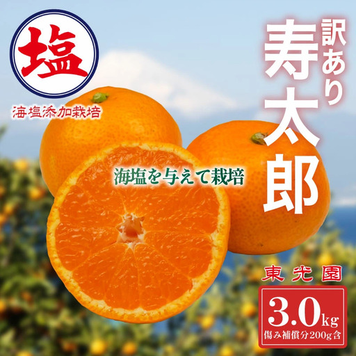 【予約受付】寿太郎 みかん 3kg  1月中旬 順次発送 訳あり みかん