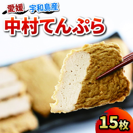 じゃこ天 中村てんぷら 15枚 中村かまぼこ店 てんぷら C012-013004