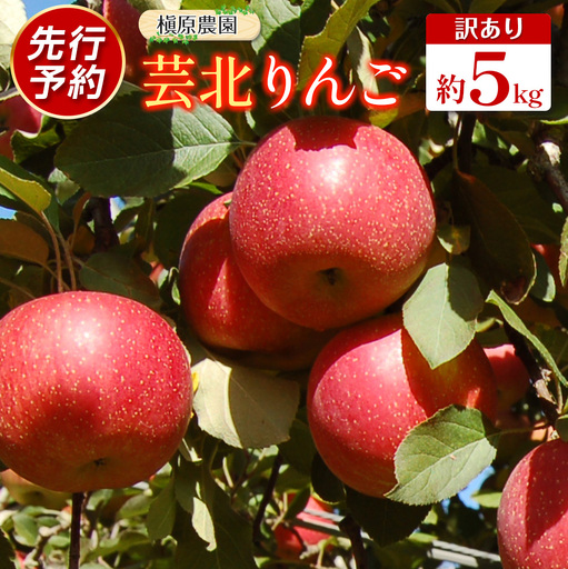 ≪10月中旬以降発送≫りんご 訳あり ご家庭用 約5kg 槇原農園の芸北りんご 農家直送 トキ 早生ふじ 千秋 シナノドルチェ シナノスイート ぐんま名月 シナノゴールド ふじ_MA077_002