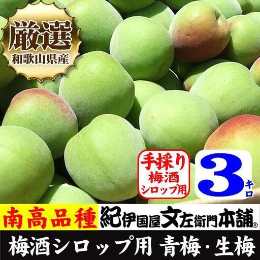 南高梅【緑】3kg 大サイズ 梅酒用 フレッシュ青梅 (生梅) ／紀伊国屋文左衛門本舗