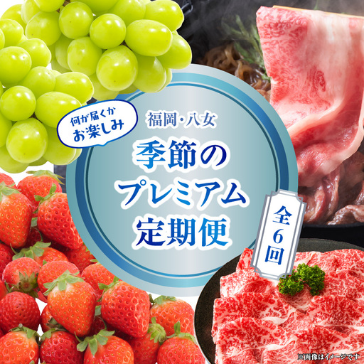 福岡・八女　季節のお楽しみプレミアム定期便【1年間に６回お届け】＜配送不可：北海道・沖縄・離島＞ 果物 フルーツ いちご あまおう シャインマスカット 黒毛和牛 博多和牛 和牛 072-T058