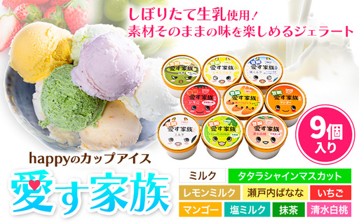 愛す家族 カップアイス 9個入り アイス