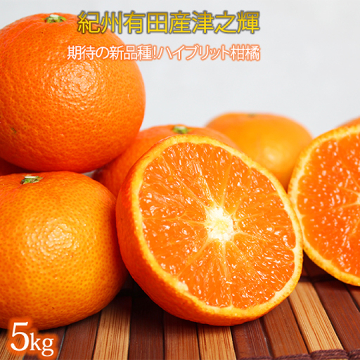 津之輝(つのかがやき)　約5kg【予約】※2027年1月下旬頃～2027年2月上旬頃に順次発送予定(お届け日指定不可) 【uot761】