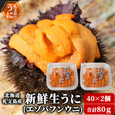 礼文産 新鮮生うに エゾバフンウニ 40g×2 うに