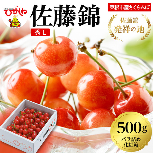 2027年産 さくらんぼ 佐藤錦 500g バラ 秀品 L さくらんぼ