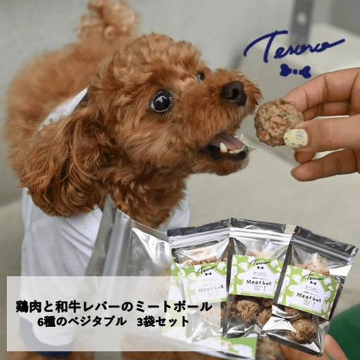 [Tesoro]わんこ用/和牛レバーと鶏肉のミートボール ベジタブル3袋 ミートボール