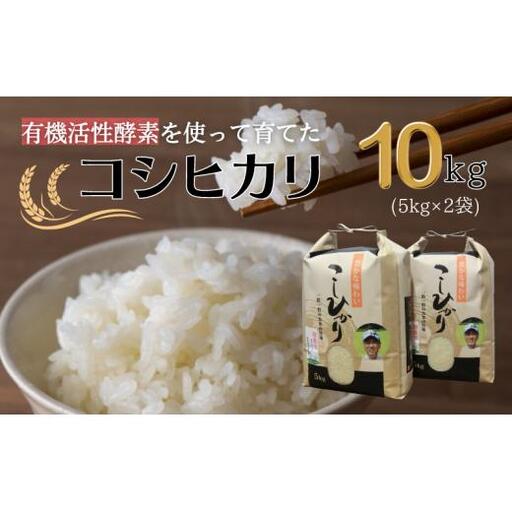 令和7年産 有機活性酵素を使用 新見産コシヒカリ 白米10kg(5kg×2袋)