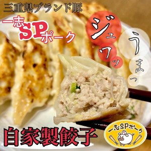 1169 おかんの手作り餃子(10個入×5袋) 餃子 手作り 一志SPポーク まるとも 冷凍