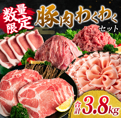数量限定 豚肉 わくわく セット 合計3.8kg ポーク 国産 豚ロース とんかつ スライス 豚切り落とし 豚バラ しゃぶしゃぶ ミンチ 挽肉 ハンバーグ すき焼き 弁当 おかず おつまみ 万能食材 真空パック 大容量 詰め合わせ お取り寄せ 宮崎県 日南市 送料無料_CD66-25
