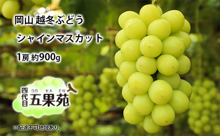 越冬 ぶどうシャイン マスカット 1房 約900g   岡山県産 シャインマスカット
