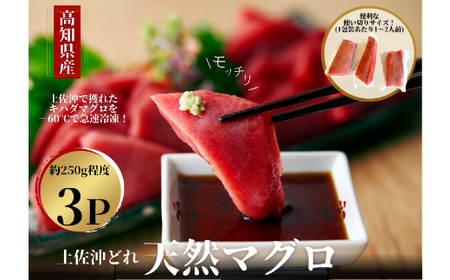 土佐沖どれ　キハダマグロ（約250g×3柵）≪カネアリ水産≫ 　