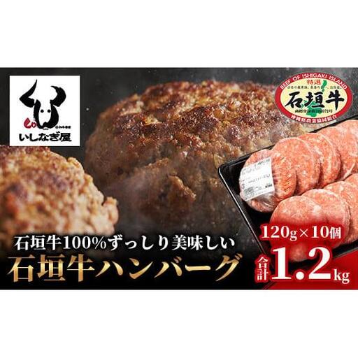 石垣牛ハンバーグ120g×10個AB-13-2
