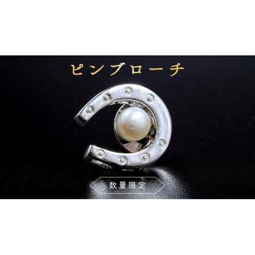 【 数量限定 】 ピン ブローチ