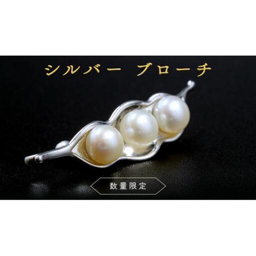 【 数量限定 】 シルバー ブローチ アクセサリー ジュエリー  レディース パール 個性的 記念 ギフト 贈り物