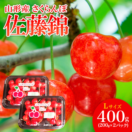 山形産 さくらんぼ 特選 佐藤錦 L 400g(200g×2パック入) 【令和9年産先行予約】FS26-662