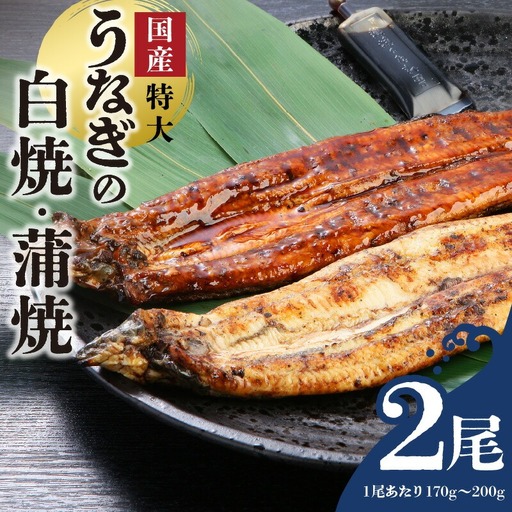 うなぎの白焼・蒲焼セット(特大サイズ 一尾 170g〜200g)_国産 うなぎ 白焼 蒲焼 セット 特大 一尾 170g〜200gずつ 食べ比べ 濃厚 甘み タレ グルメ 食品 加工品 魚 魚介類 おかず 惣菜 ご飯のお供 酒の肴 冷凍 パック 樋口商店 白焼き 福岡県 久留米市 お取り寄せ お取り寄せグルメ 送料無料 〔Cu003〕