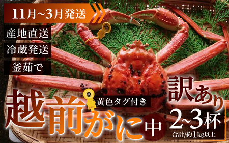 [訳あり] [先行予約]越前がに 合計1kg以上(2〜3杯)[11月〜3月順次発送] 日本海 直送