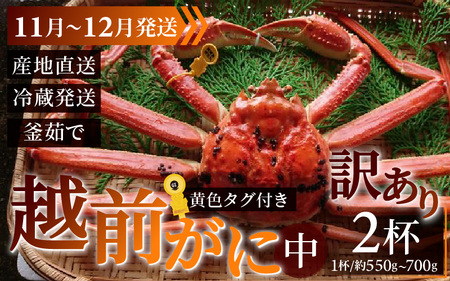【訳あり】 【先行予約】越前がに 中 (約550g～700g)×2杯【11月～12月発送】 日本海 直送
