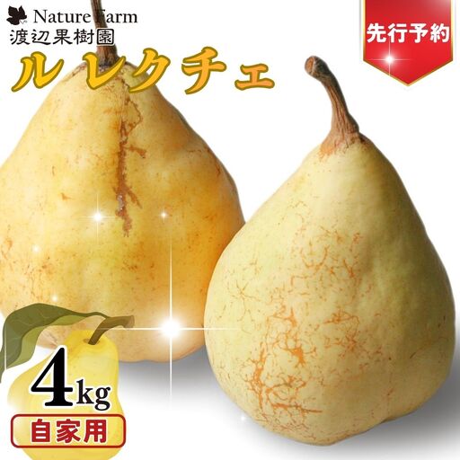 先行予約 ル レクチェ 自家用 4kg (9～14玉) 令和8年度 西洋梨 ル レクチエ 洋梨 化粧箱 洋ナシ ル・レクチェ [渡辺果樹園]