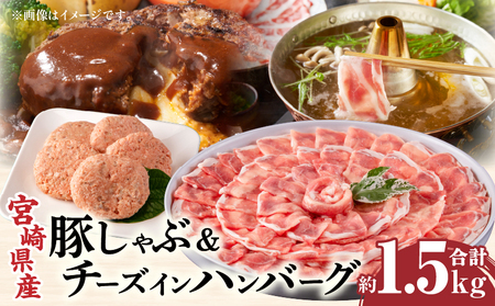 宮崎県産豚 ロース1kg&チーズインハンバーグ5個 セット