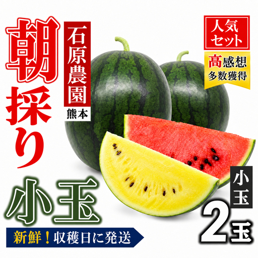 [ 先行予約 ] 小玉スイカ 食べ比べ (赤色・黄色)[2027年(令和8年)4月中旬頃から順次出荷] すいか 黄色すいか フルーツ