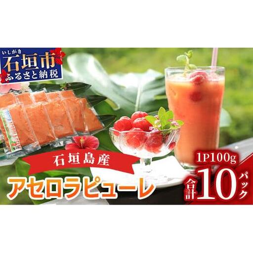 石垣島産アセロラピューレ 10パック CH-2-1
