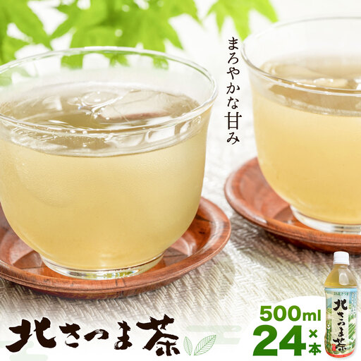 北さつま茶 500ml×24本 北さつま農協《30日以内に出荷予定(土日祝除く)》