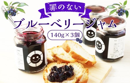 罪のない ブルーベリージャム 420g (140g×3個) 大分県産 ジャム ギルトフリー 砂糖不使用 凝固剤不使用 保存料不使用