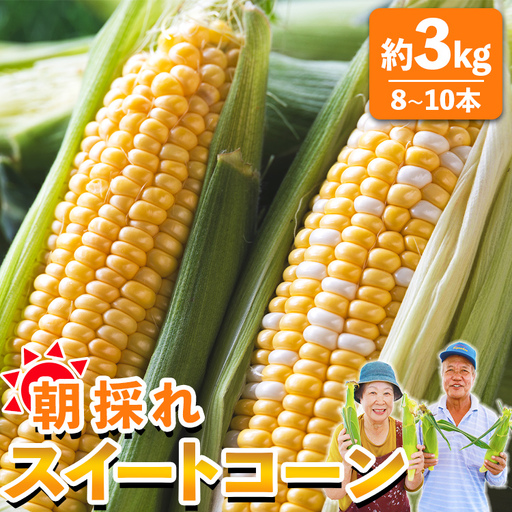 とうもろこし 朝採れスイートコーン 3kg (8〜10本) [とうもろこし とうもろこし とうもろこし とうもろこし とうもろこし とうもろこし とうもろこし] sg-0005
