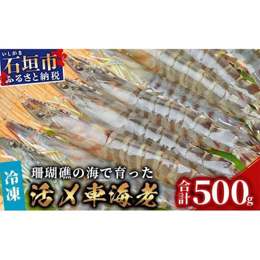 車えび500g【冷凍】25尾 ～ 33尾 　BE-05