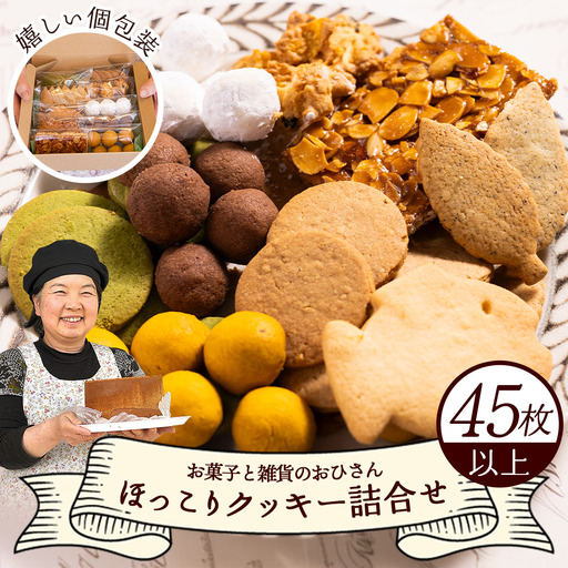 クッキー 詰め合わせ 合計45枚以上（全10種類 各1袋入り）お菓子 スイーツ クッキー oh-0017