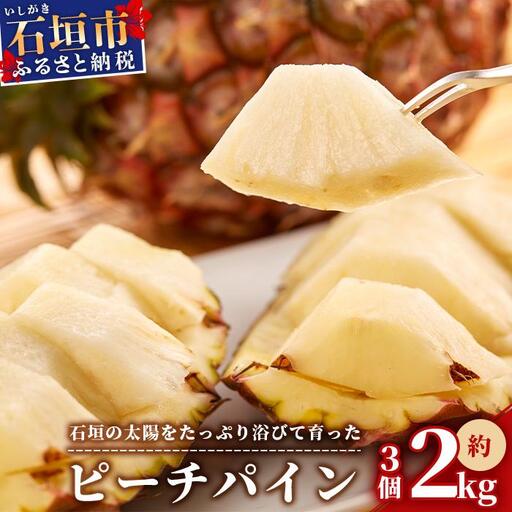 石垣パイン ピーチ種 3個セット [2027年4月初旬〜5月中旬発送予定]