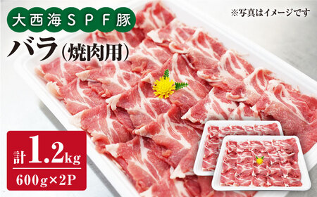SPF 豚バラ 焼肉 計1.2kg 訳あり [大西海ファーム] [CEK031] 焼肉 豚バラ